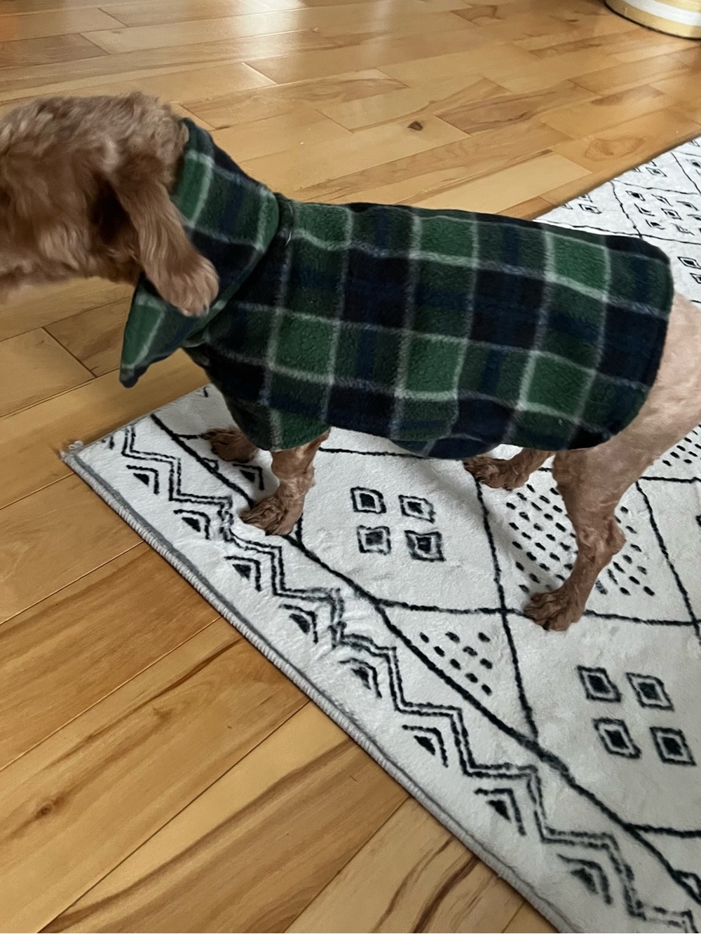 Dog fleece plaid jacket